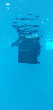 名古屋港水族館に投稿された画像（2024/11/24）