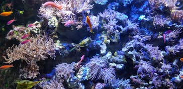 名古屋港水族館に投稿された画像（2024/11/24）