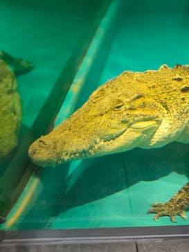 NIFREL（ニフレル）に投稿された画像（2024/11/24）