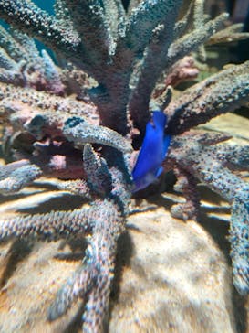 NIFREL（ニフレル）に投稿された画像（2024/11/24）