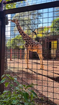恩賜上野動物園に投稿された画像（2024/11/24）