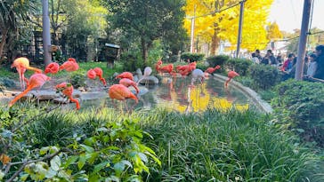 恩賜上野動物園に投稿された画像（2024/11/24）