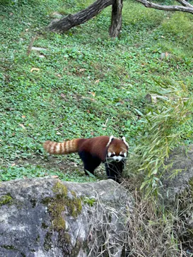 多摩動物公園に投稿された画像（2024/11/24）
