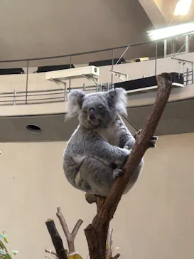 多摩動物公園に投稿された画像（2024/11/24）