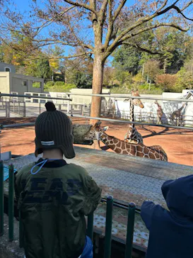 多摩動物公園に投稿された画像（2024/11/24）