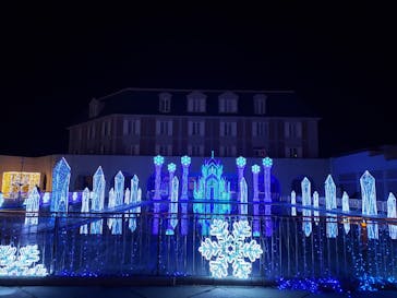 神戸イルミナージュに投稿された画像（2024/11/24）