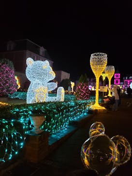 神戸イルミナージュに投稿された画像（2024/11/24）