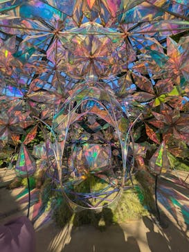 京成バラ園に投稿された画像（2024/11/24）