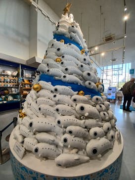 新江ノ島水族館に投稿された画像（2024/11/24）