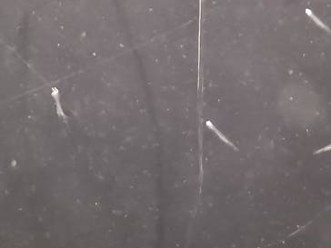 新江ノ島水族館に投稿された画像（2024/11/24）