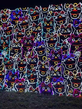 大阪城イルミナージュに投稿された画像（2024/11/24）