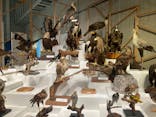 特別展「鳥 ～ゲノム解析が解き明かす新しい鳥類の系統～」国立科学博物館に投稿された画像（2024/11/24）