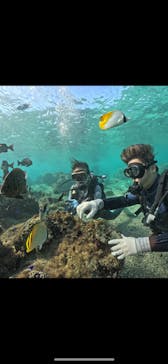 武藤潜水に投稿された画像（2024/11/24）