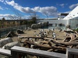 仙台うみの杜水族館に投稿された画像（2024/11/24）