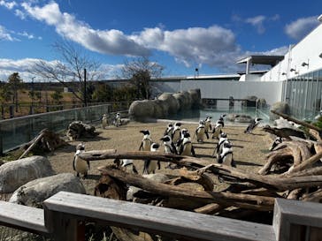 仙台うみの杜水族館に投稿された画像（2024/11/24）