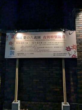 六義園に投稿された画像（2024/11/24）