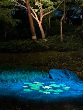 六義園に投稿された画像（2024/11/24）