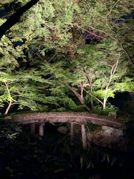 六義園に投稿された画像（2024/11/24）