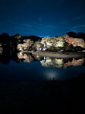 六義園に投稿された画像（2024/11/24）