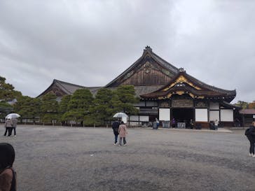 元離宮二条城に投稿された画像（2024/11/24）