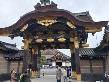 元離宮二条城に投稿された画像（2024/11/24）