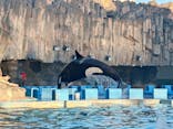 名古屋港水族館に投稿された画像（2024/11/24）