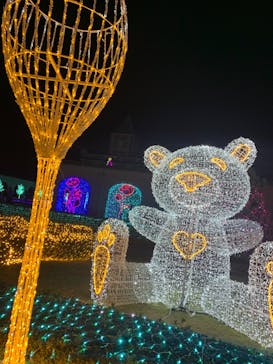 神戸イルミナージュに投稿された画像（2024/11/24）