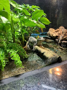 天王寺動物園に投稿された画像（2024/11/24）