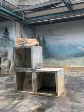 天王寺動物園に投稿された画像（2024/11/24）