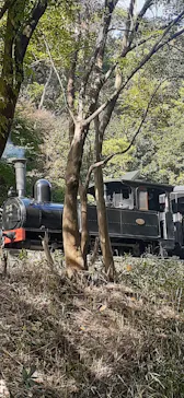 博物館 明治村に投稿された画像（2024/11/24）