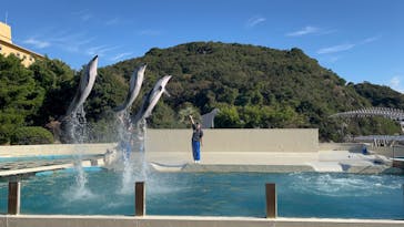 太地町立くじらの博物館に投稿された画像（2024/11/24）