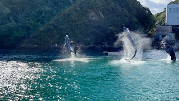 太地町立くじらの博物館に投稿された画像（2024/11/24）