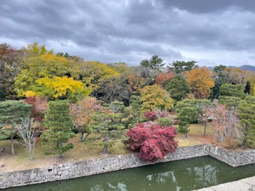 元離宮二条城に投稿された画像（2024/11/24）