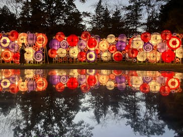 国営昭和記念公園 秋の夜散歩に投稿された画像（2024/11/24）