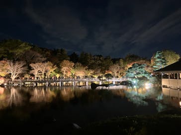 国営昭和記念公園 秋の夜散歩に投稿された画像（2024/11/24）