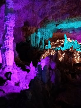 石垣島鍾乳洞に投稿された画像（2024/11/24）