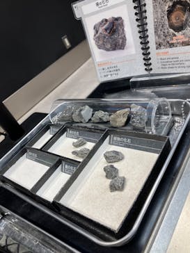 福井県立恐竜博物館に投稿された画像（2024/11/24）