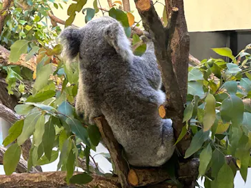 多摩動物公園に投稿された画像（2024/11/24）