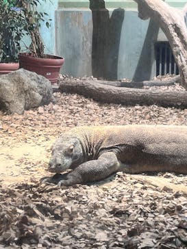 名古屋市東山動植物園に投稿された画像（2024/11/24）