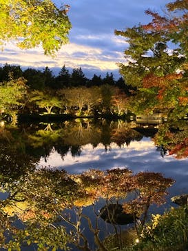 国営昭和記念公園 秋の夜散歩に投稿された画像（2024/11/24）