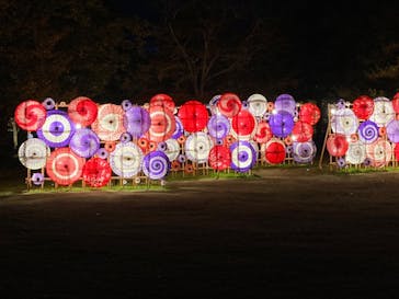 国営昭和記念公園 秋の夜散歩に投稿された画像（2024/11/24）
