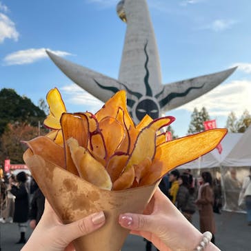 万博夜空がアートになる日に投稿された画像（2024/11/24）