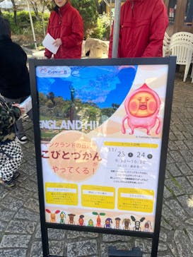 淡路ファームパーク イングランドの丘に投稿された画像（2024/11/24）