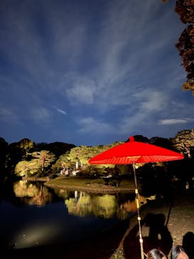 六義園に投稿された画像（2024/11/24）