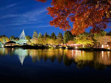 国営昭和記念公園 秋の夜散歩に投稿された画像（2024/11/24）