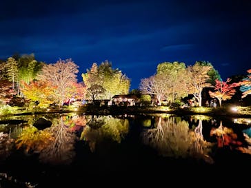 国営昭和記念公園 秋の夜散歩に投稿された画像（2024/11/24）