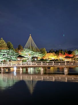 国営昭和記念公園 秋の夜散歩に投稿された画像（2024/11/24）