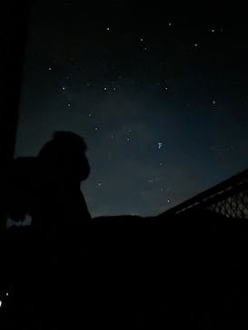 大井川鐵道株式会社に投稿された画像（2024/11/24）