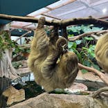 那須どうぶつ王国に投稿された画像（2024/11/24）