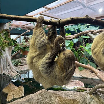 那須どうぶつ王国に投稿された画像（2024/11/24）